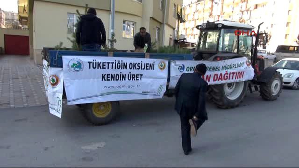 Sivas Cami Cemaatine Fidan Dağıtıldı