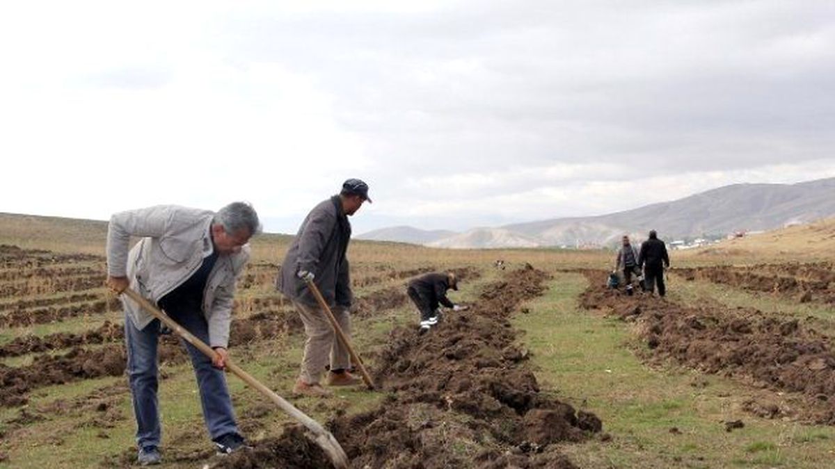Van\'da "Çekirdekten Badem Yetiştiriciliği" Projesi Başladı