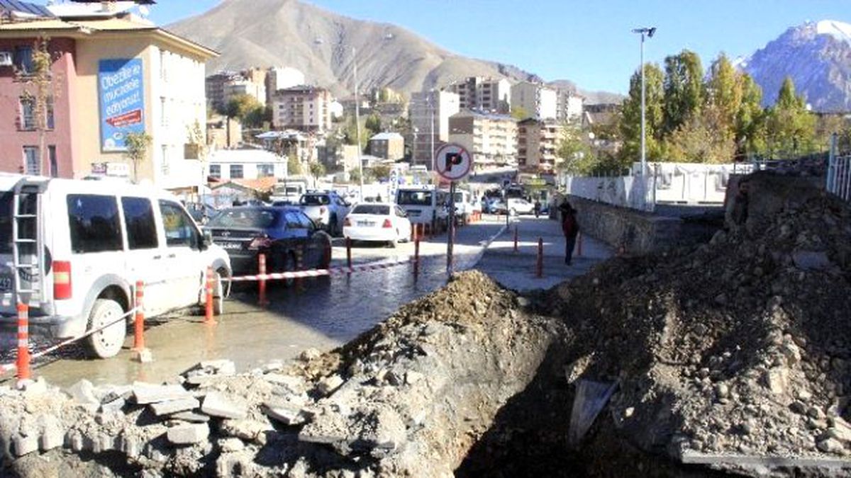 Vedaş\'tan Hummalı Çalışma