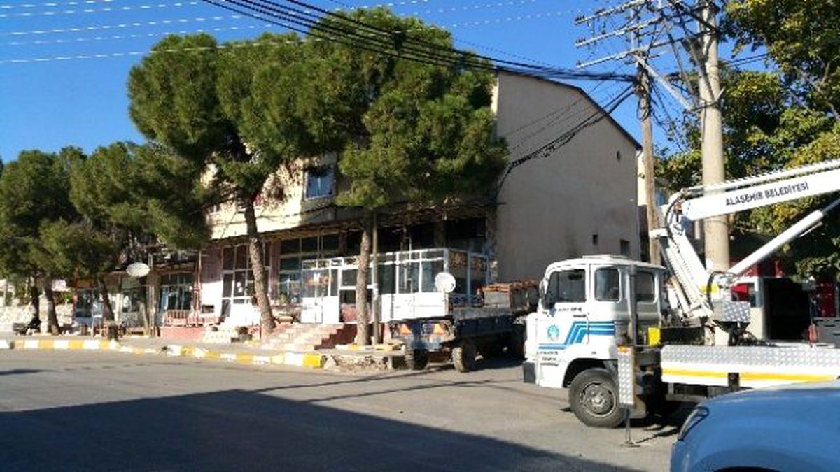 Alaşehir\'de Ağaçlar Budanıyor