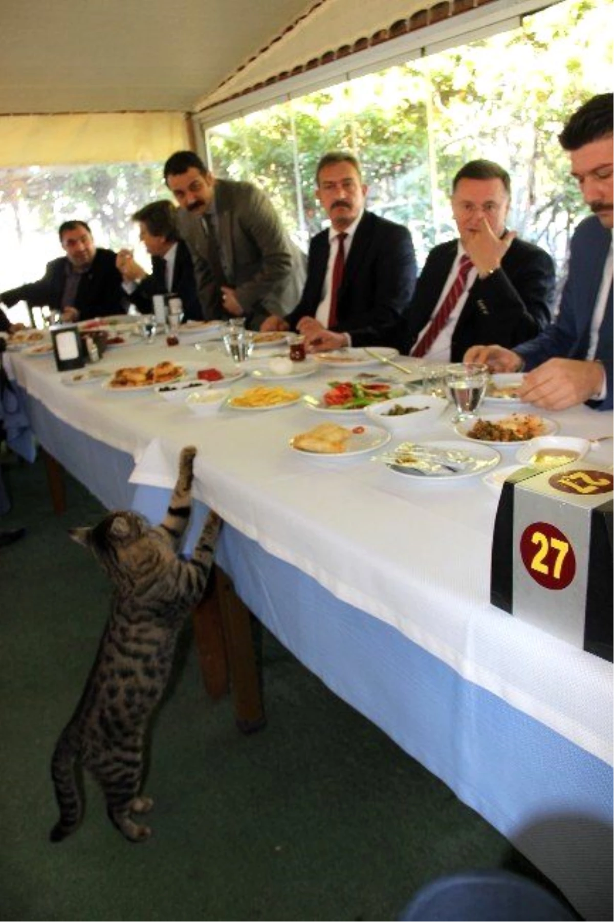 Başkan Savaş\'ın Basın Toplantısında "Kedi" Sürprizi