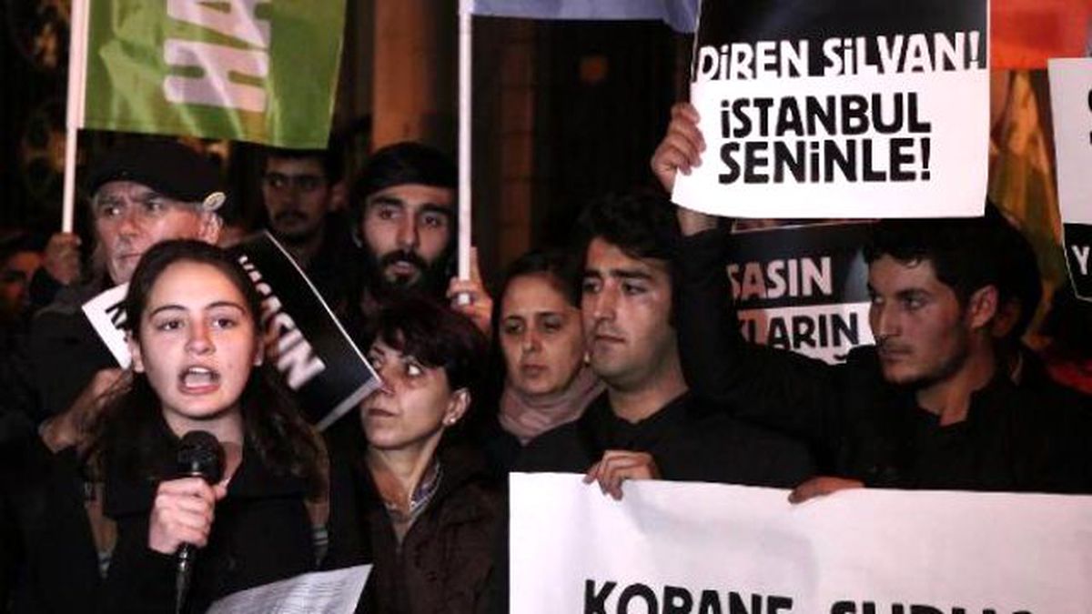 Silvan\'daki Olaylar ve Paris\'teki Terör Saldırısı Protesto Edildi