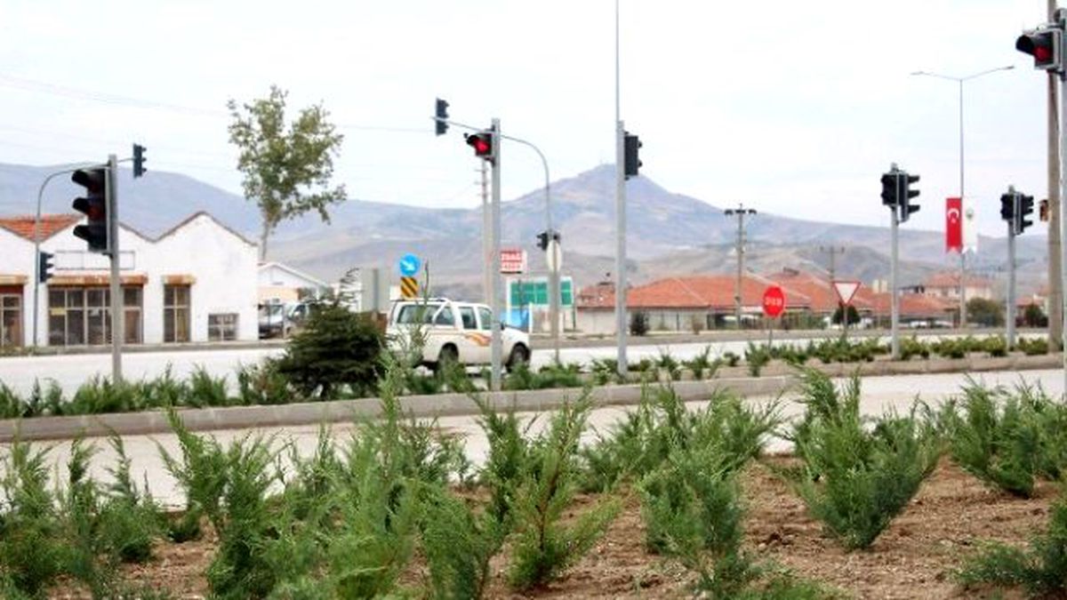 Sungurlu\'da Orta Refüj ve Kavşaklar Ağaçlandırılıyor