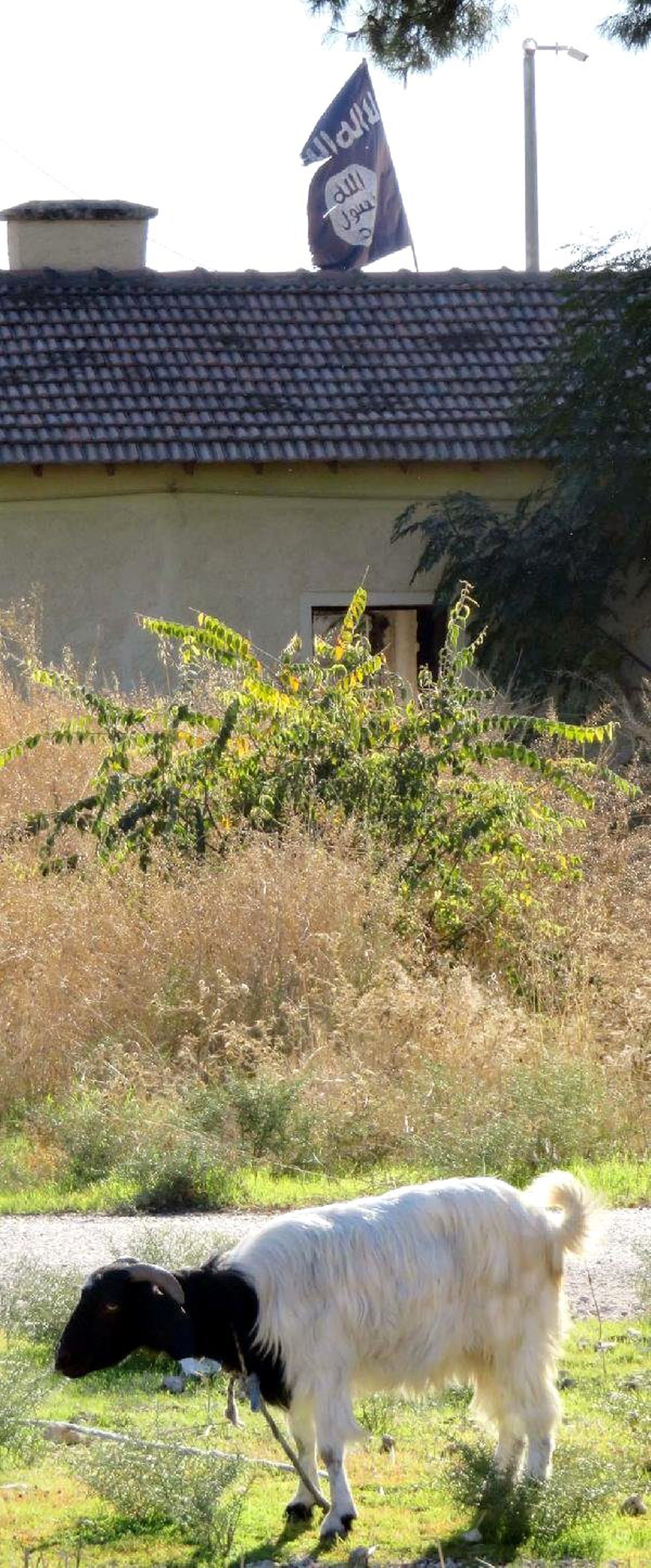 Türkiye'nin Kırmızı Çizgisinde PYD ile IŞİD Arasında Çatışma