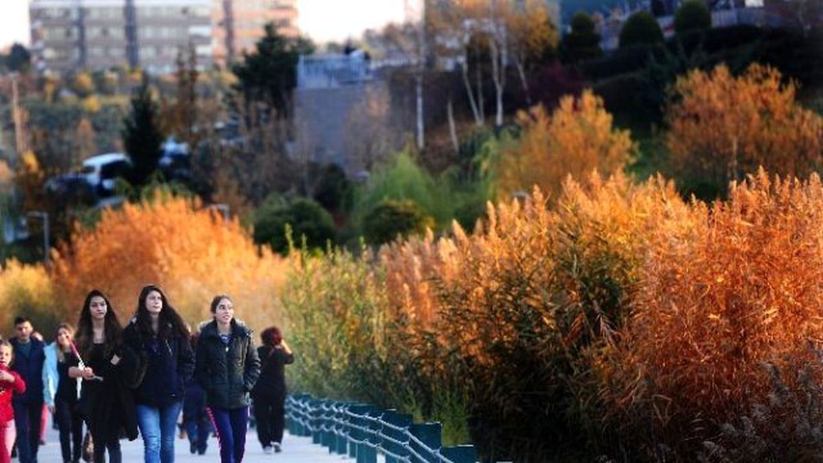 Ankara\'nın Parklarından Sonbahar Manzaraları
