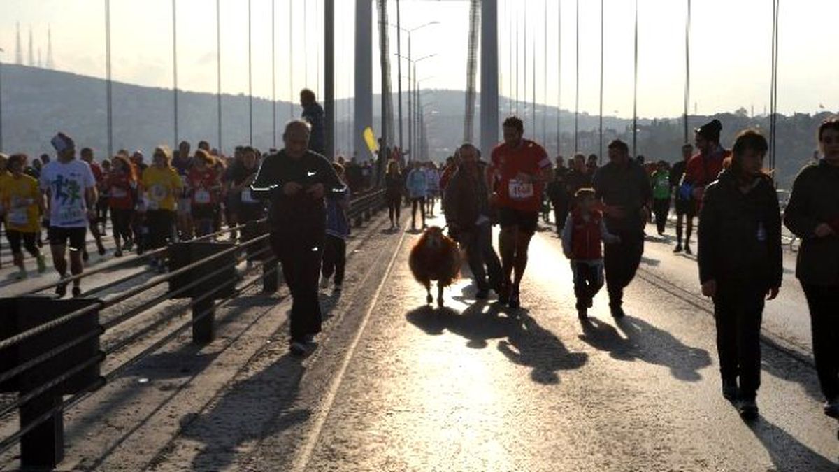 Kınalı Kuzusu ile Maratona Katıldı