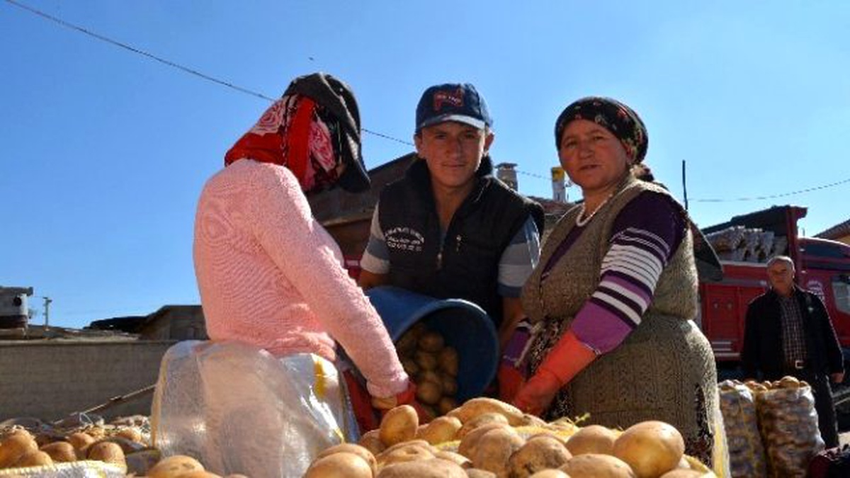 Niğde\'de Patatesin Bolluğu Üreticiyi Sevindirmedi