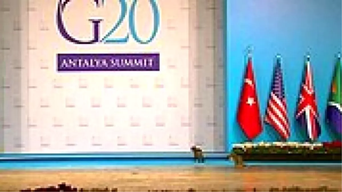 G-20 Zirvesini Kediler Bastı