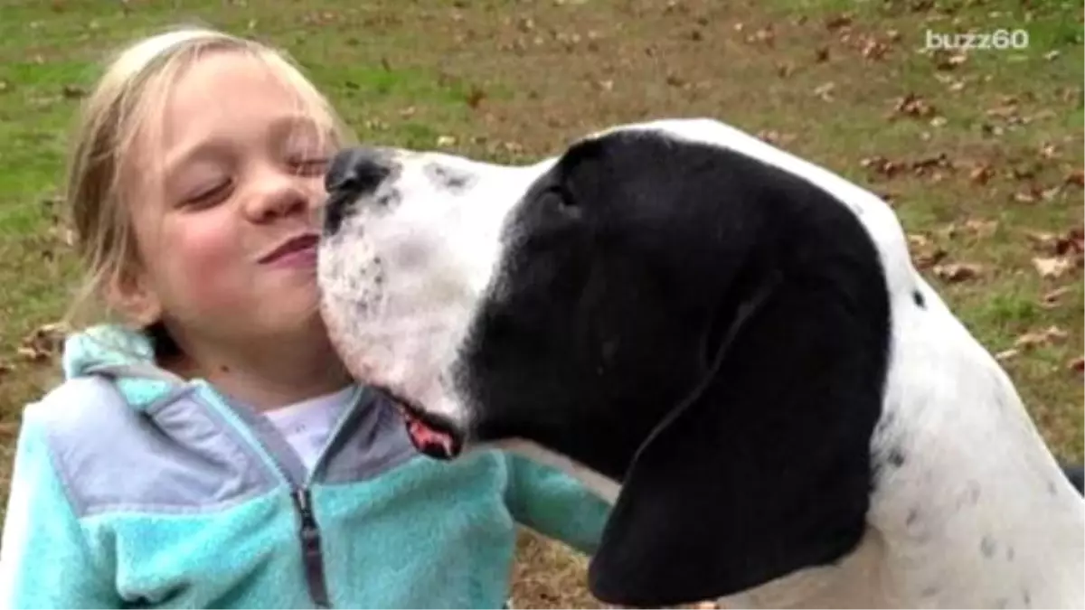 Great Dane Helps Girl With Rare Disease Learn To Walk