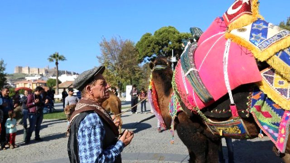 Havutlama Hayrıyla Deve Güreşleri Sezonu Açıldı