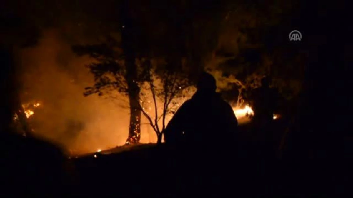 Osmaniye\'de Çıkan Orman Yangını Devam Ediyor
