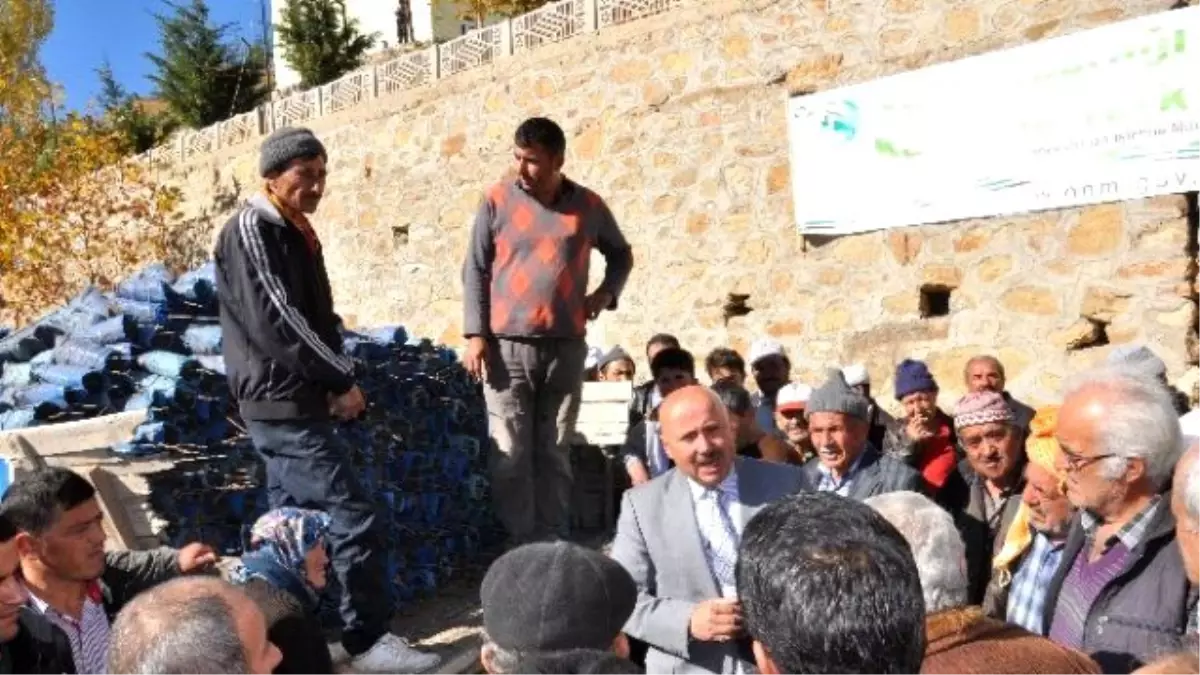 Sarıveliler\'de Kavak ve Söğüt Ağaçlarının Kesimine Başlandı