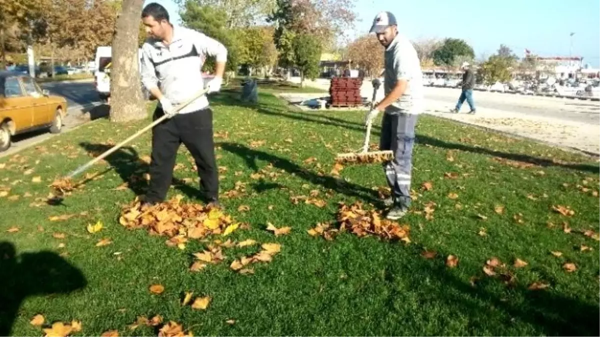 Tekirdağ Büyükşehir Belediyesi\'nden Yaprak Operasyonu