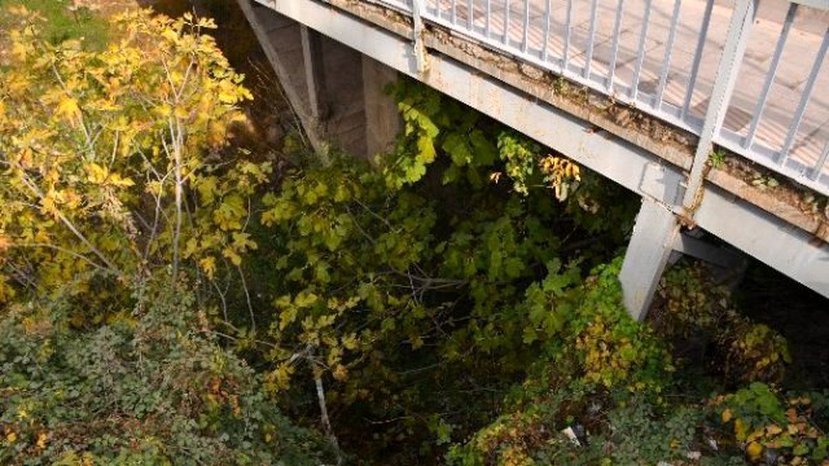 50 Metrelik Yamaçtan Aşağı Düşen Kadın Şans Eseri Kurtuldu