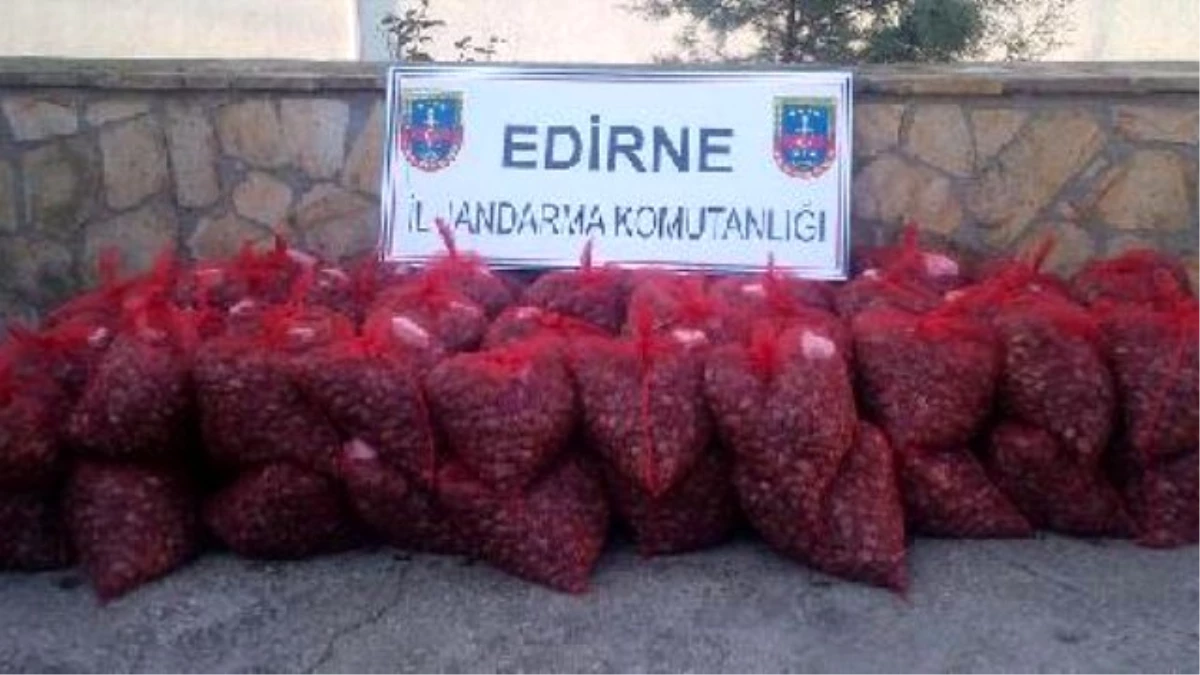 Edirne\'de Kaçak Avlanan 1.4 Ton Midye Ele Geçirildi