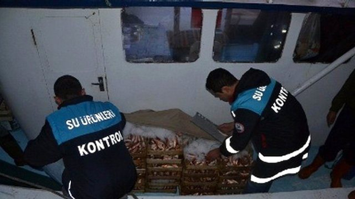 Kırklareli\'de Karaya Çıkış Noktası Denetimleri