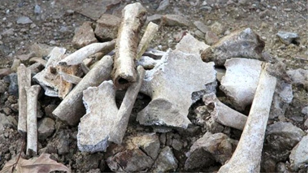 Taksim Meydanı\'nda Bulunan Kemiklerin Ermenilere Ait Olduğu Düşünülüyor