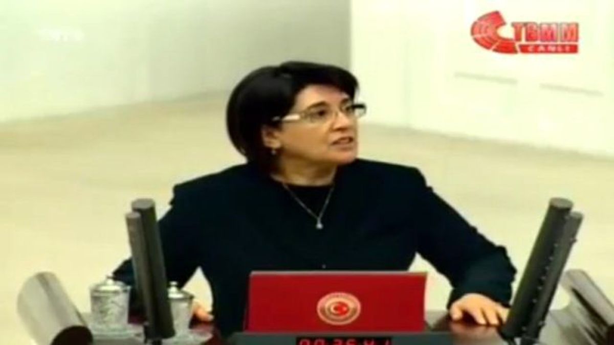 24 Yıl Sonra Yine Leyla Zana, Yine Yemin Krizi