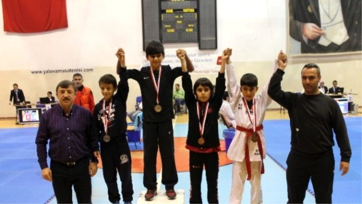 Yalova\'da Taekwondo Müsabakaları Nefes Kesti