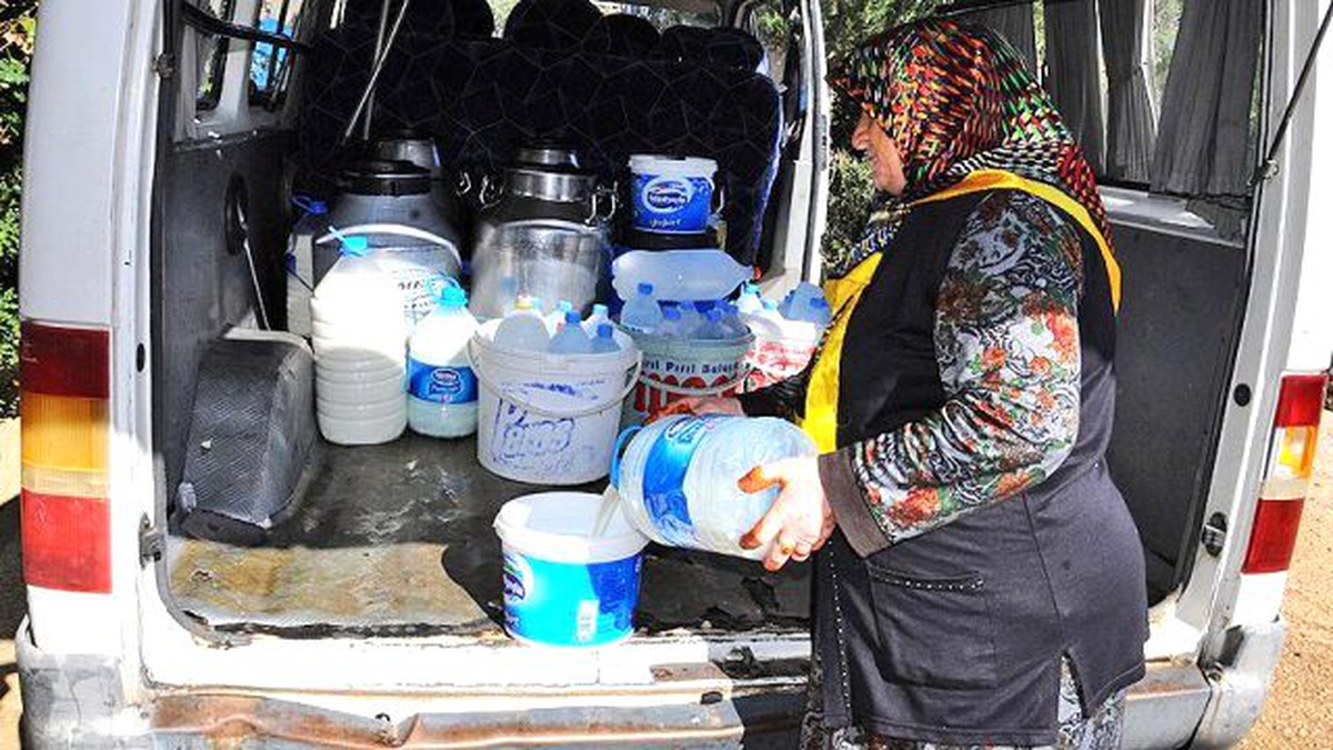 65 Yaşındaki Hediye Nine, Minibüs Sürüp Süt Dağıtıyor