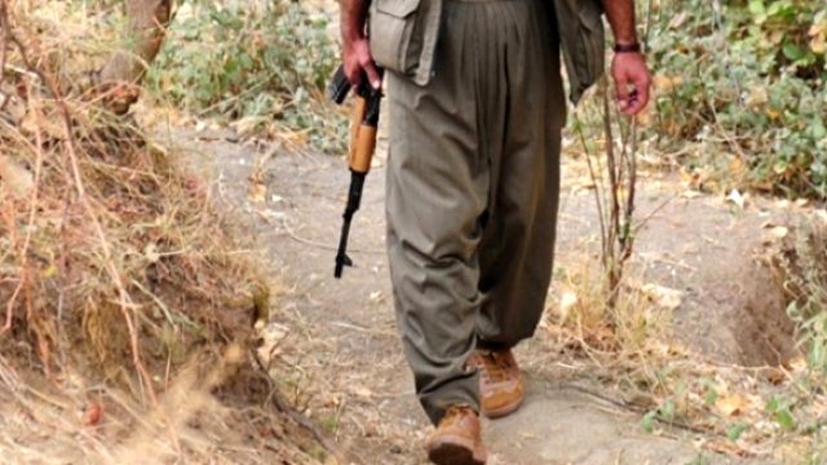 Hakkari\'de Bir Terörist Teslim Oldu
