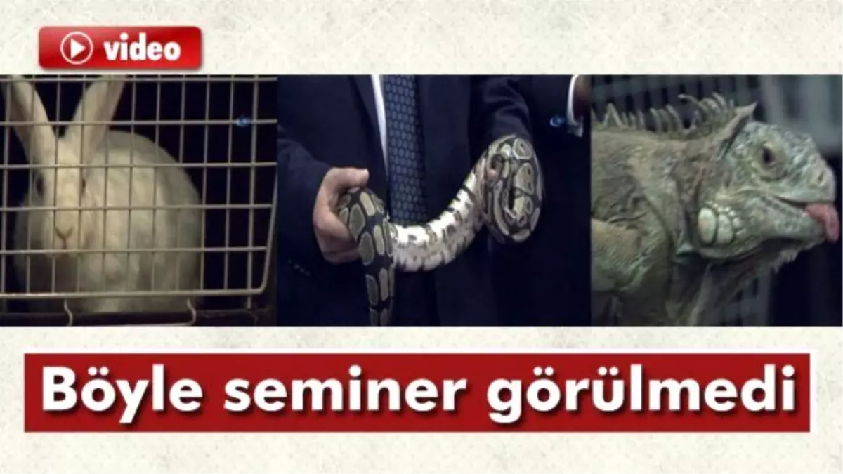 Böyle Seminer Görülmedi