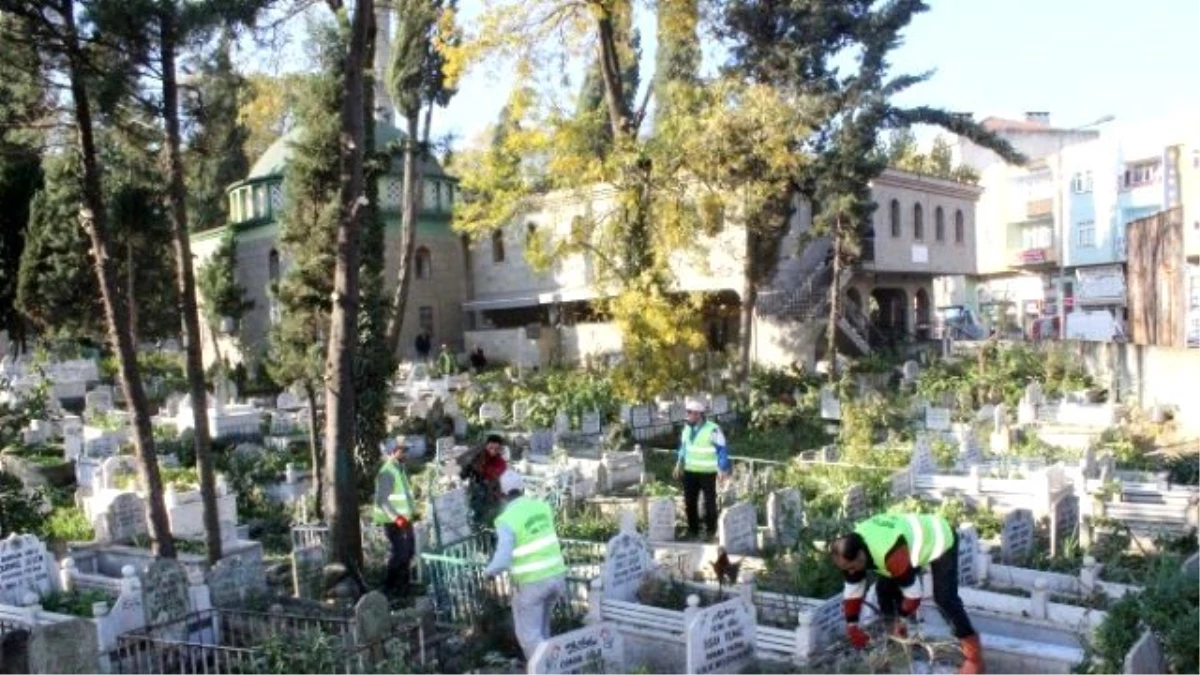Tekkeköy Merkez Mezarlığı ve Çevresi Düzenlendi