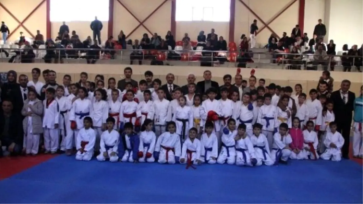 Van\'da Karate Dostluk Turnuvası