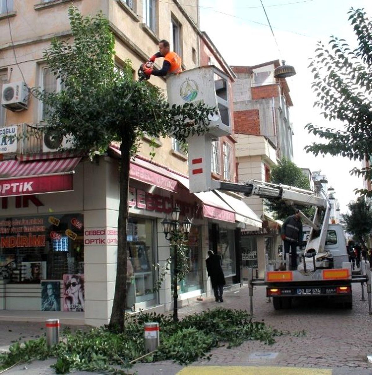 Altınordu\'da Ağaçlar Budanıyor