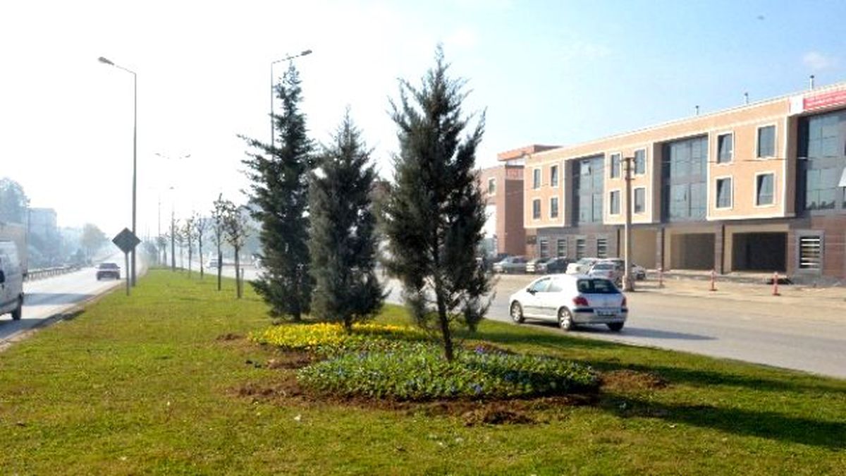 Düzce Kış Çiçekleri ile Süsleniyor