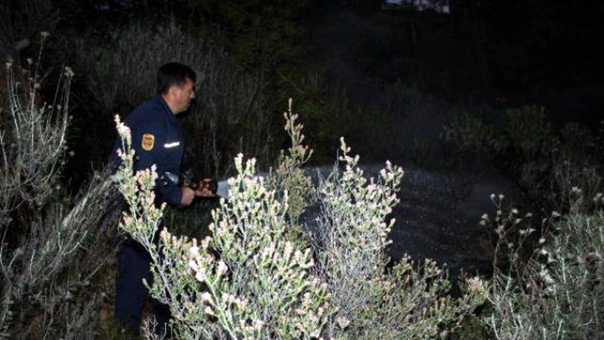 İşaret Fişeği Atılan Ormanlık Alanda Yangın Çıktı