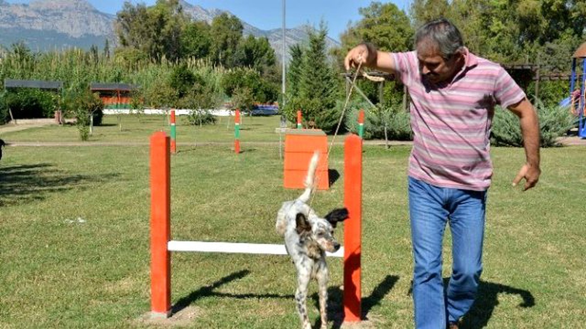 Konyaaltı\'nda Evcil Hayvanlara Oyun Parkı
