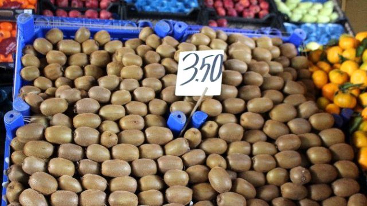 Ordu\'da Yerli Kivi Tezgahtaki Yerini Aldı