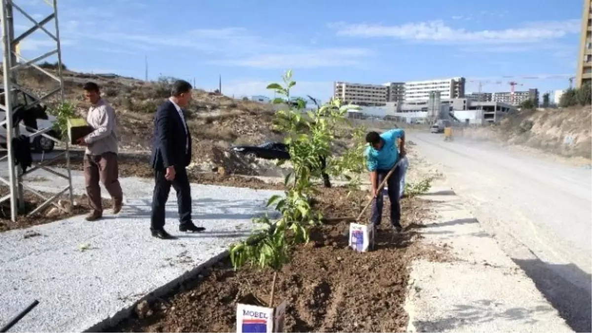 Toroslar Yeni Bir Park Daha Kazanıyor