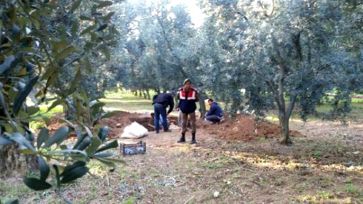 Zeytinlikte Roma Dönemine Ait Lahit Bulundu