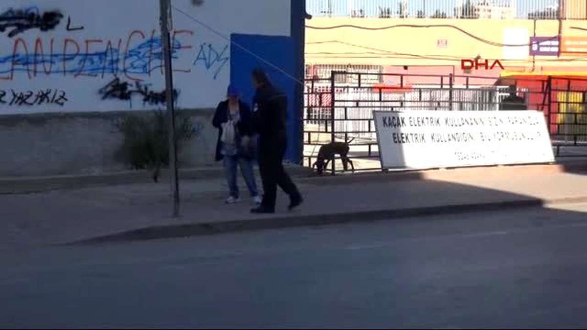 Adana Bomba Uzmanından Önce Kedi Kontrol Etti