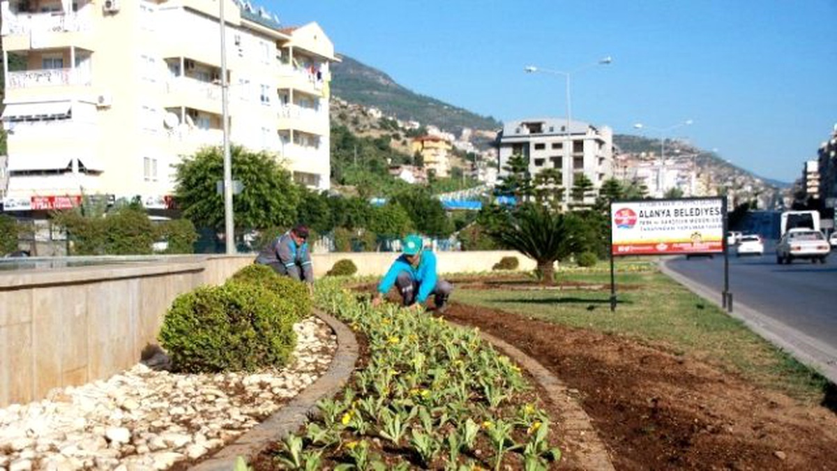 Alanya\'da Kışlık Çiçekler Parkları Süslemeye Başladı