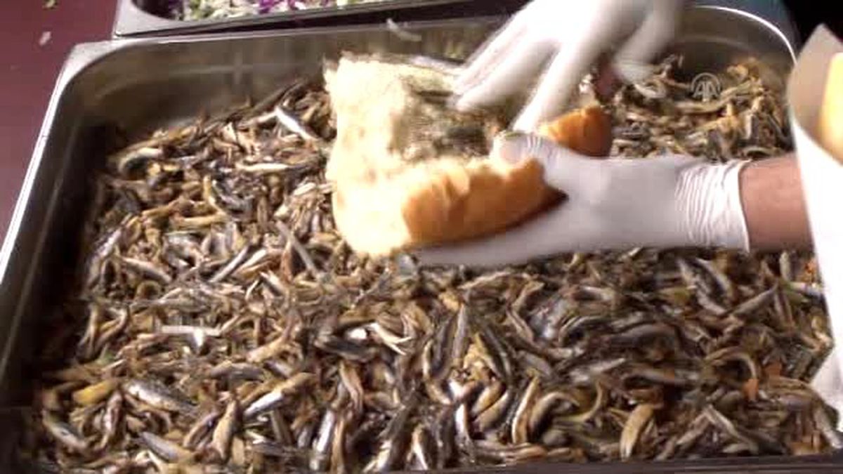 Rize\'de 2,5 Ton Hamsi 1 Saatte Tükendi