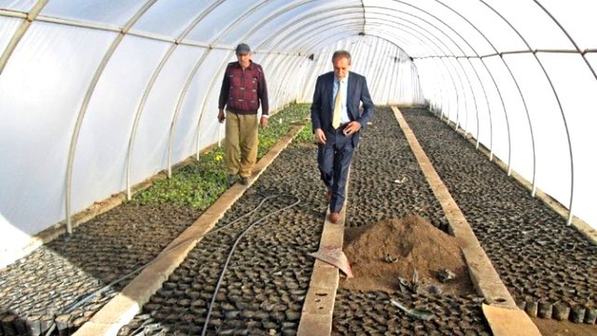 Başkan Özdemir, Gölbaşı İlçesinde Sera Çalışmalarını İnceledi
