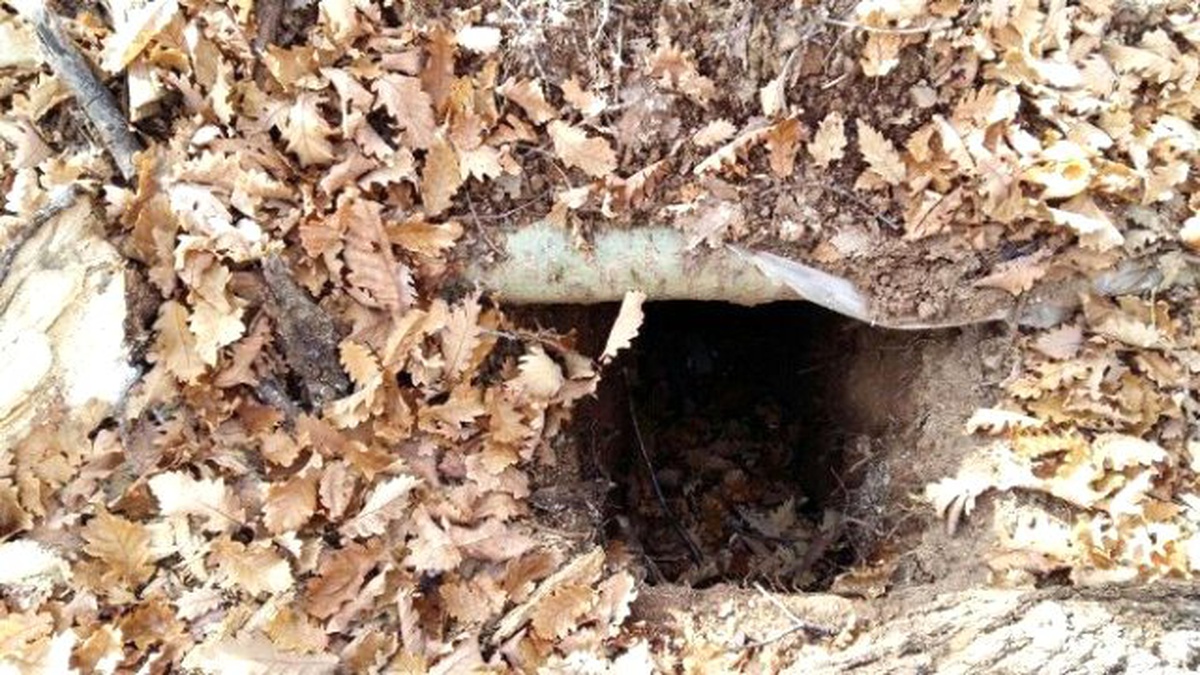 Bingöl, Iğdır ve Kars\'taki PKK Sığınaklarına Dev Operasyon