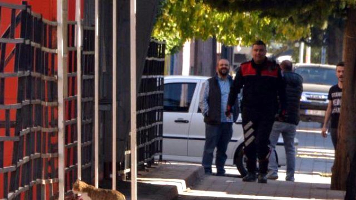 Bomba Sanılan Çantayı Uzmanlardan Önce Kedi Denetledi