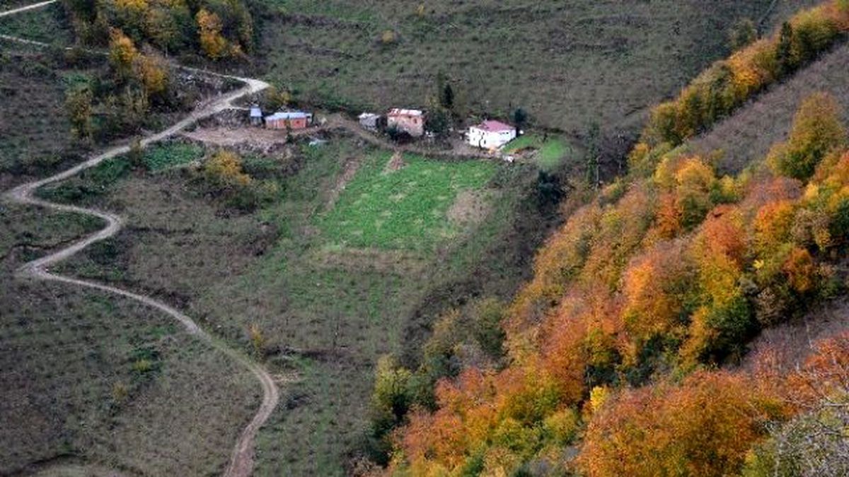 Görenlere Terapi Etkisi Yapıyor