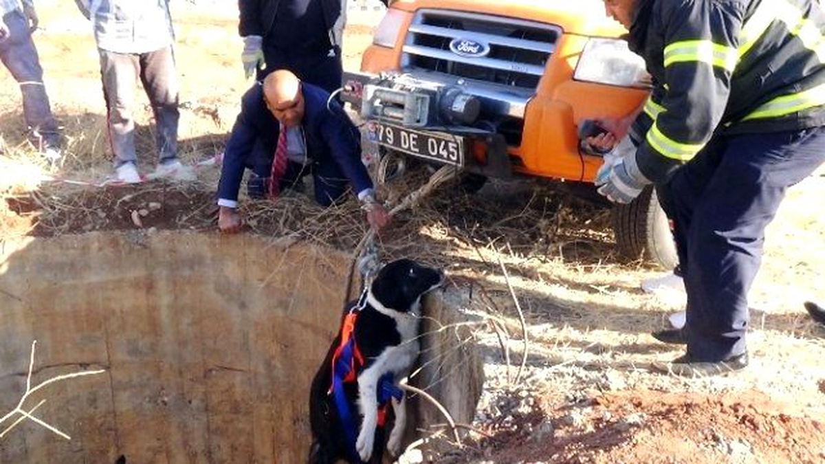 Kuyuya Düşen Köpek Operasyonla Kurtarıldı