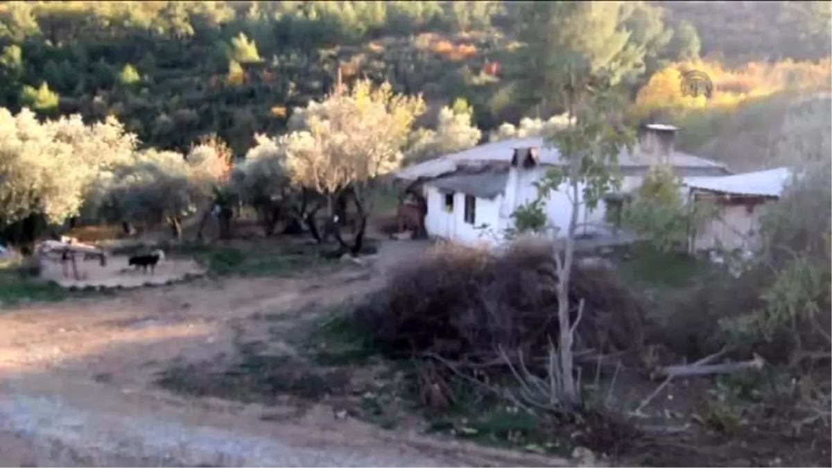 Oğlunun Şehit Düştüğü Topraklara Yürümek İstiyor