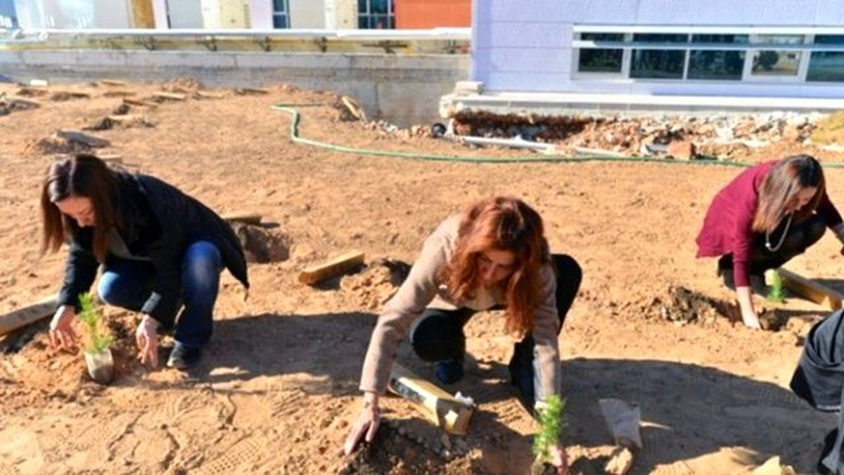 Tıp Fakültesi Hatıra Ormanı Oluşturuldu