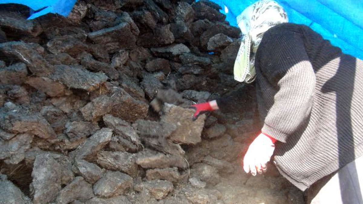 Yoksul Aileler Kış Yakacağı İçin Tezek Topluyor