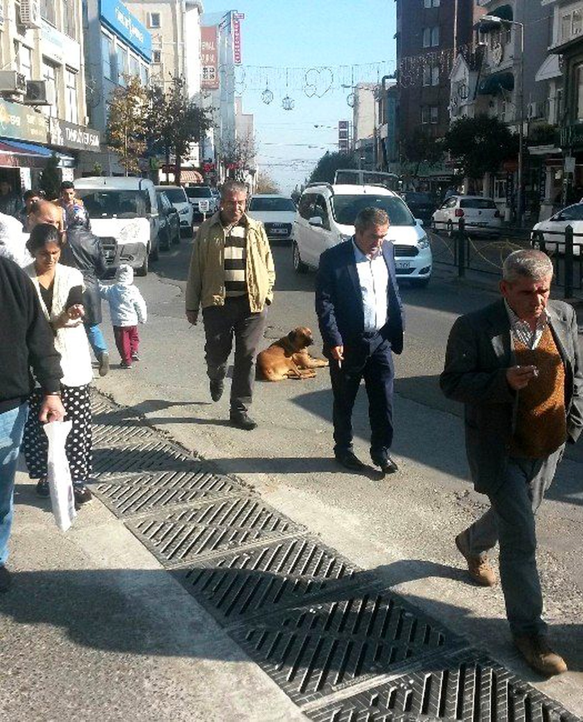 Yol Ortasına Oturan Köpek Sürücü ve Yayalara Zor Anlar Yaşattı