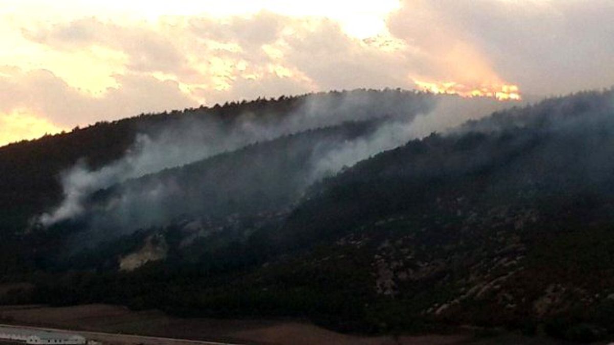 Balıkesir\'in Ciğerleri Yok Olmadan Müdahale