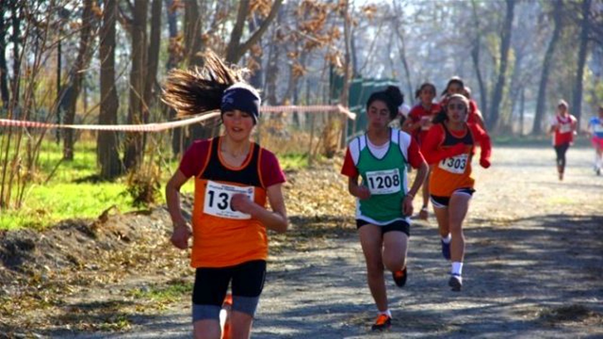 Atletizm: Bölgesel Kros Yarışmaları