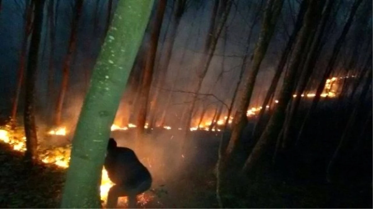 Korgan\'da Çıkan Orman Yangını Korkuttu